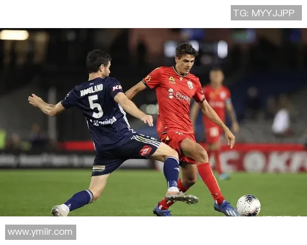 武汉羽毛球队防反战术解析及其在比赛中的应用与成效分析